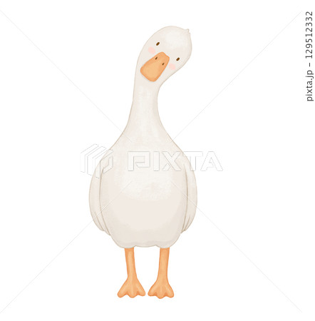Watercolor cute baby goose. Funny animal isolated on white background for childish book Watercolor cute baby goose. Funny animal isolated on white background for childish book 129512332
