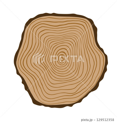 Tree ring vector simple flat illustration, wood slice with pattern 129512358