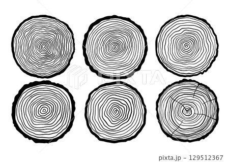 Tree ring vector icon, black illustrations set, wood slice with pattern 129512367