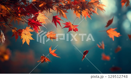 風に舞う紅葉、赤とオレンジの美しいモミジの枝 129512748