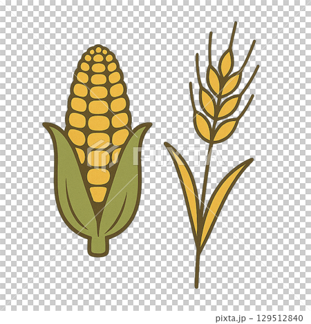 grain 129512840