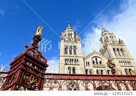 ロンドンにある自然史博物館のとても美しい風景 129513125