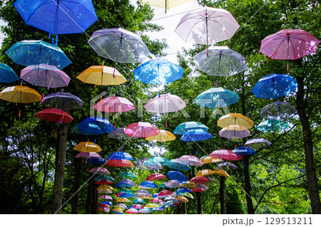 カラフルな傘 カラフルな傘 129513211