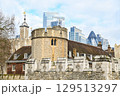 ロンドン塔のとても美しい風景 129513297