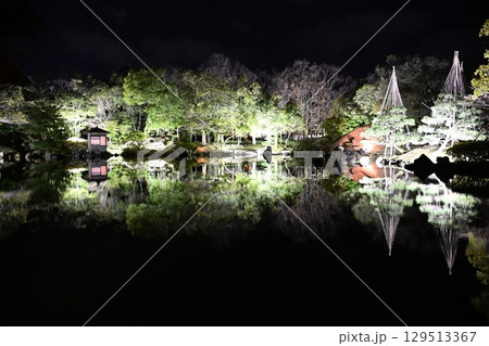 福井　養浩館のライトアップ 129513367