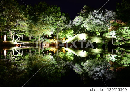 福井 養浩館のライトアップ 福井 養浩館のライトアップ 129513369