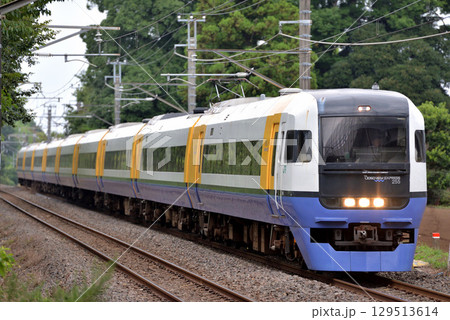 外房線を走る255系臨時特急新宿わかしお1号 外房線を走る255系臨時特急新宿わかしお1号 129513614