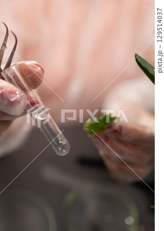 Researching Aloe Plant Properties in a Laboratory Environment Using Various Study Techniques Researching Aloe Plant Properties in a Laboratory Environment Using Various Study Techniques 129514037