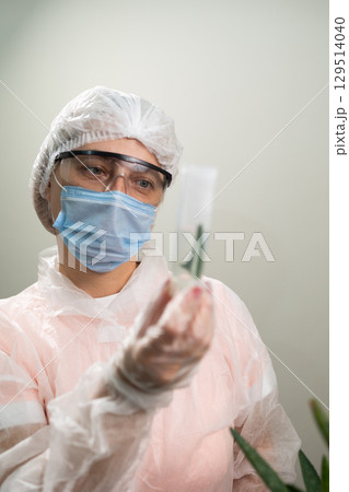 Research Study on the Applications of Aloe Plant in a Lab Setting 129514040