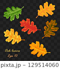 oak leaves. Autumn Leaves Design Elements For thanksgiving, harvest holiday, decoration and design. Eps 10 129514060