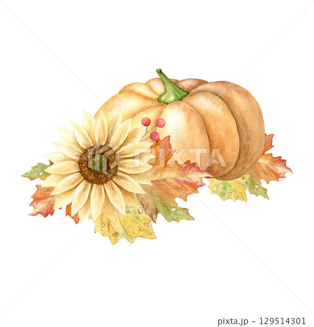 Beautiful autumn pumpkin flower arrangement, watercolor illustration, hand painted orange pumpkin with sunflowers, dry leaves and berries isolated on white background. Thanksgiving card. Beautiful autumn pumpkin flower arrangement, watercolor illustration, hand painted orange pumpkin with sunflowers, dry leaves and berries isolated on white background. Thanksgiving card. 129514301