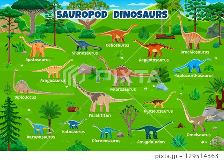 Prehistoric sauropod dinosaurs infographics. Cartoon vector dino species in green jungle. Ancient reptiles with names educational chart with terrain herbivore Jurassic era creatures, extinct dinosaurs 129514363
