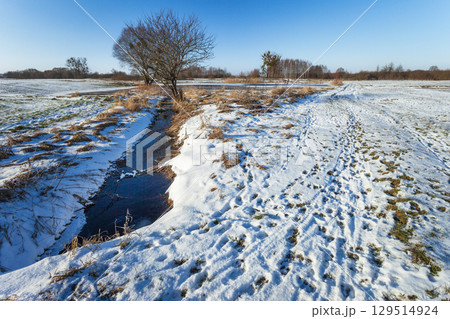 Animal tracks in the snow near a water ditch, a rural view on a sunny winter day. 129514924