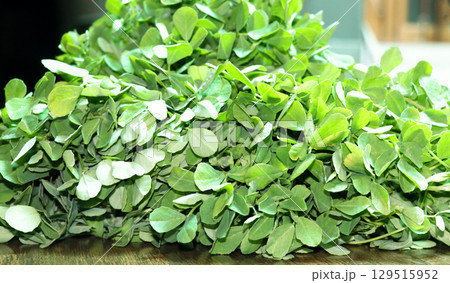 Fresh Fenugreek Leaves (Methi) on Wooden Surface Fresh Fenugreek Leaves (Methi) on Wooden Surface 129515952