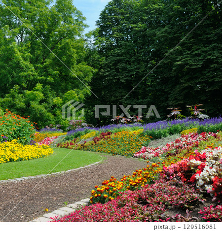 Flowerbed in gardens and parks. Flowerbed in gardens and parks. 129516081