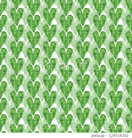 Tropical monstera leaves rows seamless pattern, hand drawn watercolor rainforest illustration isolated on white background. Can be used for textile, fabric and other printed products. Tropical monstera leaves rows seamless pattern, hand drawn watercolor rainforest illustration isolated on white background. Can be used for textile, fabric and other printed products. 129516102