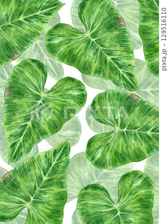 Tropical leaves poster, hand drawn watercolor illustration isolated on white background. Can be used for cards, invitation and other printed products. Tropical leaves poster, hand drawn watercolor illustration isolated on white background. Can be used for cards, invitation and other printed products. 129516110