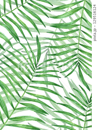 Tropical palm tree leaves frame border, hand drawn watercolor illustration isolated on white background. Can be used for post cards, invitation and other printed products. 129516124