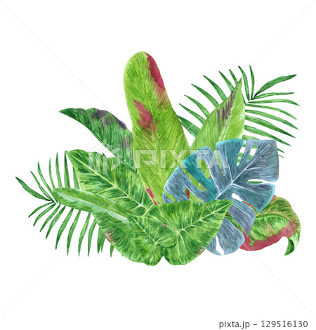 Tropical leaves composition, hand drawn watercolor illustration isolated on white background. Can be used for card, scrapbook and other printed products. 129516130