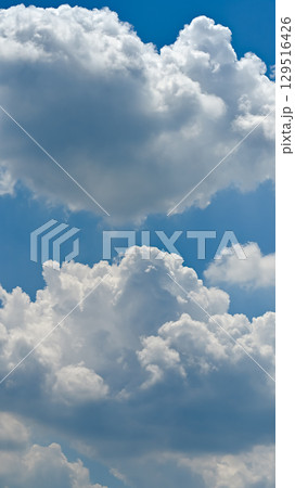 空素材（縦構図） 129516426