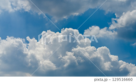 空素材 129516660