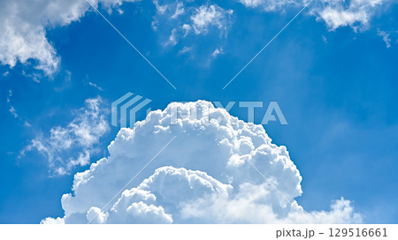 空素材 129516661