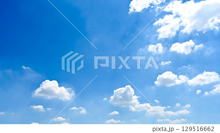 空素材 129516662