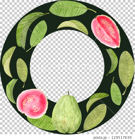 Watercolor tropical wreath with guava fruits, green leaves and pink slices on dark background. Elegant botanical frame ideal for exotic packaging, cosmetic branding, gourmet labels and summer-themed 129517630