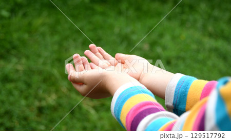 Toddler hands catch raindrops into palms of hands closeup Toddler hands catch raindrops into palms of hands closeup 129517792