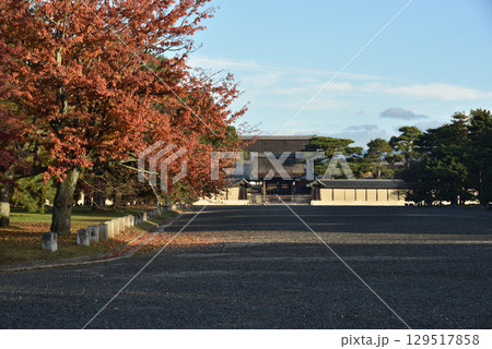 秋の京都御苑　モミジと建礼門(京都市上京区) 129517858