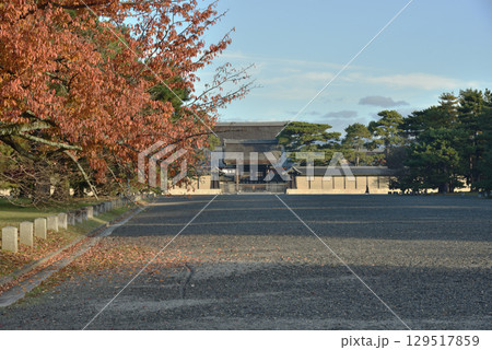 秋の京都御苑　モミジと建礼門(京都市上京区) 129517859