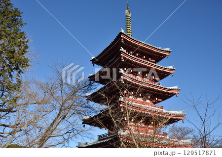 冬の本土寺 五重塔(千葉県松戸市) 冬の本土寺 五重塔(千葉県松戸市) 129517871