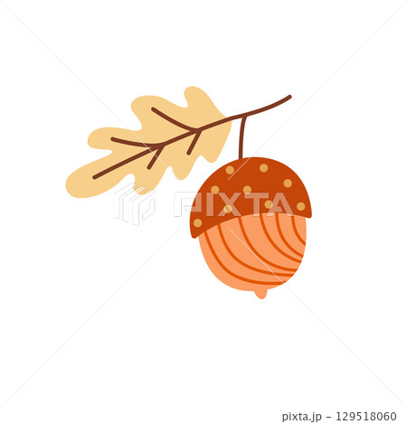 Hand Drawn Autumn Acorn with Oak Leaf Illustration in Cute Style 129518060
