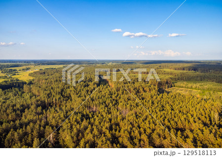 Aerial photo of spruce forest in countryside. Drone point of view on forest 129518113