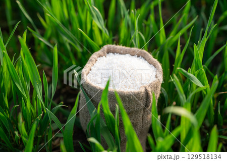 Small canvas bag standing on fresh green grass, white fertilizer inside of it, close up. Farming in spring, take care of plants by using fertilizer in granules for better growth Small canvas bag standing on fresh green grass, white fertilizer inside of it, close up. Farming in spring, take care of plants by using fertilizer in granules for better growth 129518134