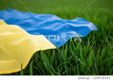 Flag of Ukraine laying on the fresh green grass in the field, close up. Concepts of rich black soil, farming and agriculture in Ukraine, ukrainian banner as symbol of it 129518141