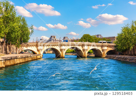 Paris famous landmark Pont Neuf bridge over the Seine with seagulls, bright sunny day view 129518403