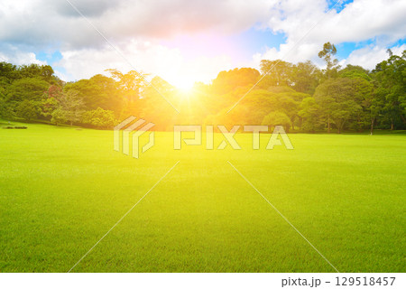 Sunrise in tropical park with green grass and beautiful trees. Sunrise in tropical park with green grass and beautiful trees. 129518457