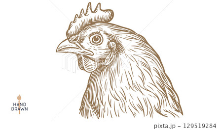 Chicken, farm hen sketch. Hand drawn. Vintage retro print hen, black drawing chicken, engrave old school style. Sketch artwork silhouette rooster, chicken, hen, white background. Vector Illustration 129519284