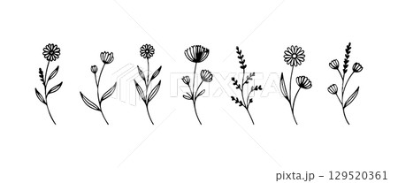 Vintage Meadow Flower Collection. A refined set of tall, slender floral illustrations with varied blossoms, elegant stems, and leafy accents. 129520361