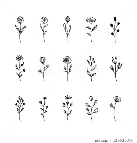 Minimal Floral Stem Set. A clean botanical pack of multiple flower stems with varied blooms, designed for modern line art projects and elegant natural decor. 129520376