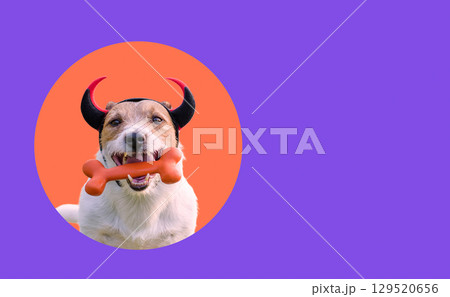 Halloween dog portrait with devil horns and toy bone against bright solid color background 129520656