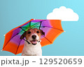 Happy Dog with Colorful Umbrella Hat - Autumn Weather Concept 129520659