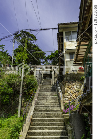 浦富海岸 田後神社 鳥居 鳥取県岩美町 浦富海岸 田後神社 鳥居 鳥取県岩美町 129521668
