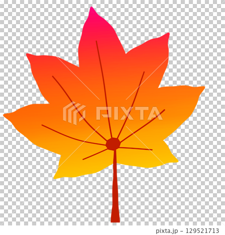 帶有紅色和橙色漸變的美麗楓葉插圖(透明 PNG) 帶有紅色和橙色漸變的美麗楓葉插圖(透明 PNG) 129521713