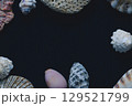 貝殻で飾られたタイトルページ2 129521799