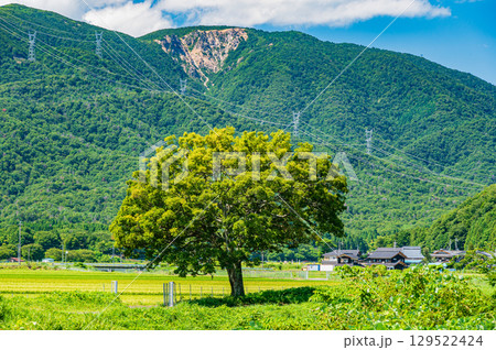 マキノの田園風景 滋賀県高島市 マキノの田園風景 滋賀県高島市 129522424