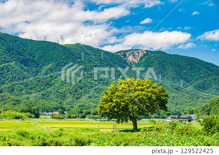 マキノの田園風景 滋賀県高島市 マキノの田園風景 滋賀県高島市 129522425