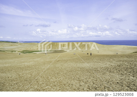 鳥取砂丘　馬の背　鳥取県鳥取市 129523008