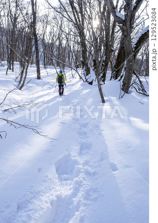 森の新雪をスノーシューで楽しむイメージ　大山木谷沢渓流 129523084